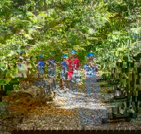 Whitsunday Segway Rainforest Discovery Tour - Broome Tourism