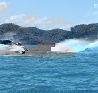 Whitsundays Whale Watching Cruise from Airlie Beach - Broome Tourism