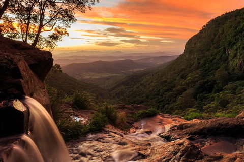 O\'Reilly\'s & Lamington National Park Incl. Alpaca Farm + Vineyard - Broome Tourism 6