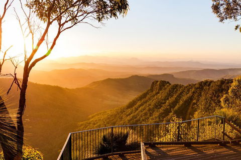 O\'Reilly\'s & Lamington National Park Incl. Alpaca Farm + Vineyard - Broome Tourism 3