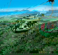 Small-Group Kuranda Village Skyrail Cableway and Scenic Railway Day Trip from Port Douglas - Broome Tourism