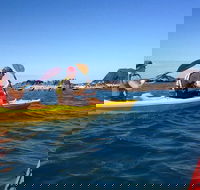 Port Douglas Half-Day Kayak Tour - Broome Tourism
