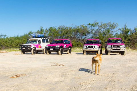 3 Day 4wd Tagalong Tour - Fraser Island - Broome Tourism 0