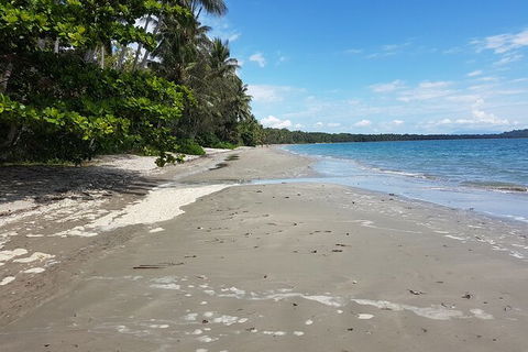 Airport Transfers Between Cairns Airport And Port Douglas - Broome Tourism 4