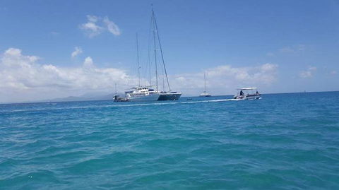 Wavedancer Low Isles Great Barrier Reef Sailing Cruise From Port Douglas - Broome Tourism 3