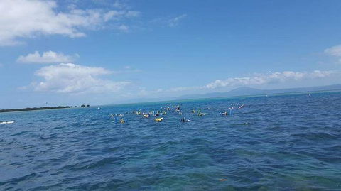 Wavedancer Low Isles Great Barrier Reef Sailing Cruise From Port Douglas - Broome Tourism 4
