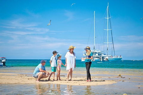 Wavedancer Low Isles Great Barrier Reef Sailing Cruise From Port Douglas - Broome Tourism 16