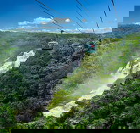 Skyrail Rainforest Cableway Day Trip from Port Douglas - Broome Tourism