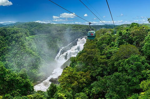 Skyrail Rainforest Cableway Day Trip From Port Douglas - Broome Tourism 0