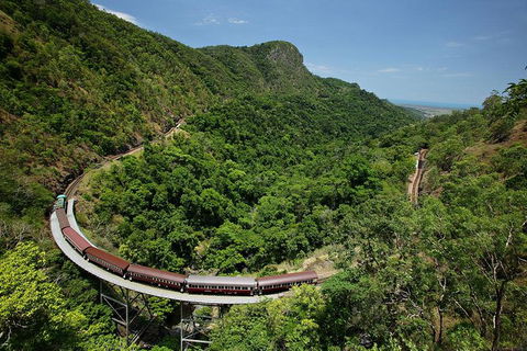 Skyrail Rainforest Cableway Day Trip From Port Douglas - Broome Tourism 4