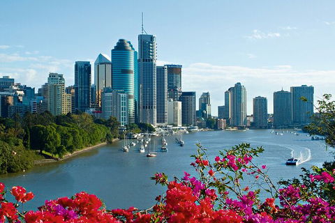 Brisbane Highlights And Lone Pine Cruise From Gold Coast - Broome Tourism 5