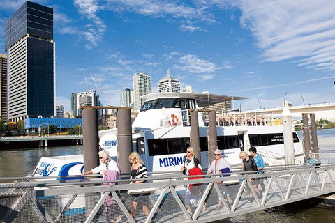 Brisbane Highlights And Lone Pine Cruise From Gold Coast - Broome Tourism 13
