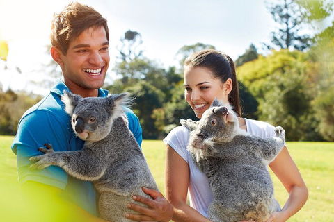 Brisbane Highlights And Lone Pine Cruise From Gold Coast - Broome Tourism 2