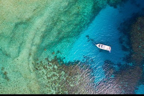 Great Barrier Reef Dive And Snorkel Cruise From Mission Beach - Broome Tourism 3