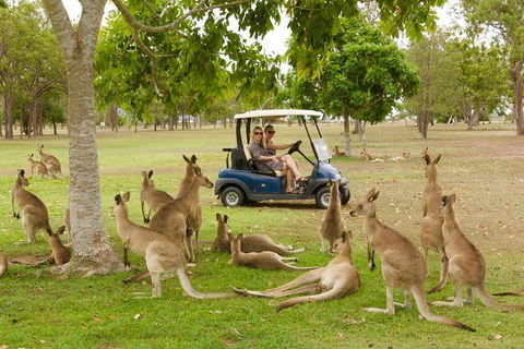 Small-Group Wildlife And Rainforest Tour From Port Douglas - Broome Tourism 0