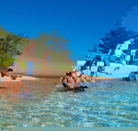 Half Day Low Isles Snorkelling Tour from Port Douglas - Broome Tourism
