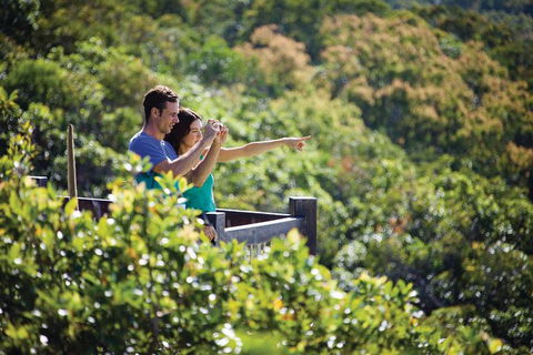 Conway National Park Coral Beach Walk Including Shute Harbour From Airlie Beach - Broome Tourism 0