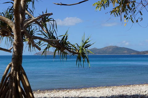 Conway National Park Coral Beach Walk Including Shute Harbour From Airlie Beach - Broome Tourism 1