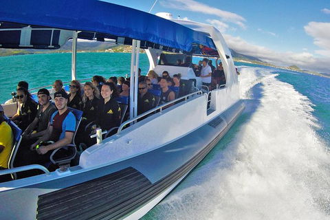 Whitehaven Beach Day Tour With Snorkel In Whitsundays Island - Broome Tourism 12