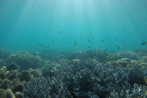 Whitehaven Beach Day Tour With Snorkel In Whitsundays Island - Broome Tourism 3
