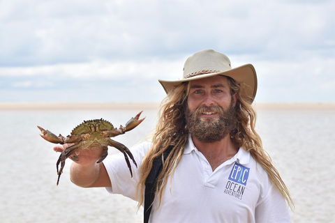 Half-Day Kayak With Dolphins And 4WD Beach Drive From Rainbow Beach - Broome Tourism 12
