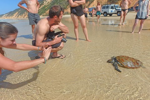 Half-Day Kayak With Dolphins And 4WD Beach Drive From Rainbow Beach - Broome Tourism 11