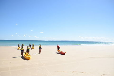 Half-Day Kayak With Dolphins And 4WD Beach Drive From Rainbow Beach - Broome Tourism 10