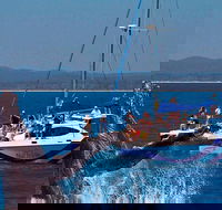 Blue Dolphin Exclusive Whale Watch Encounters - Broome Tourism