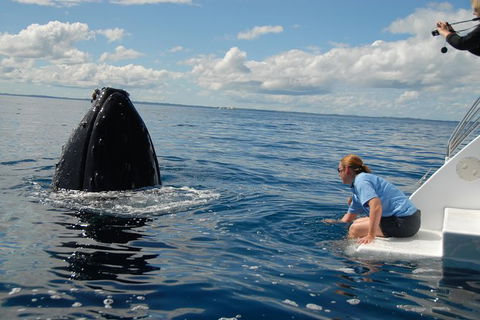 Blue Dolphin Exclusive Whale Watch Encounters - Broome Tourism 7