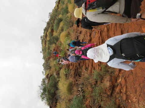 Kings Canyon Day Trip From Ayers Rock - Broome Tourism 14