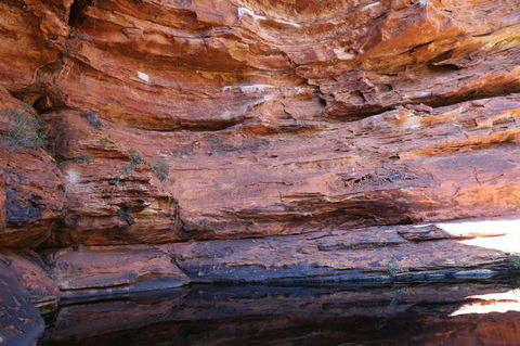 Kings Canyon Day Trip From Ayers Rock - Broome Tourism 16