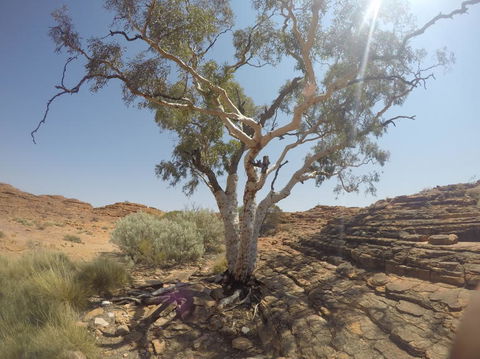 Kings Canyon Day Trip From Ayers Rock - Broome Tourism 3