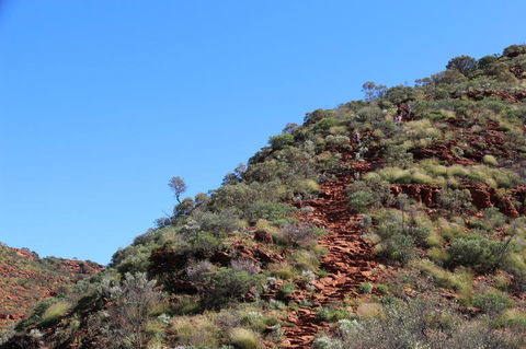 Kings Canyon Day Trip From Ayers Rock - Broome Tourism 21