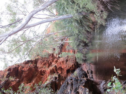 Kings Canyon Day Trip From Ayers Rock - Broome Tourism 11