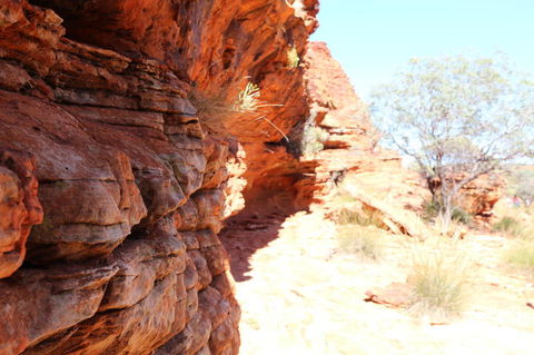 Kings Canyon Day Trip From Ayers Rock - Broome Tourism 20