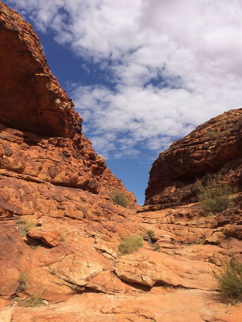 Kings Canyon Day Trip From Ayers Rock - Broome Tourism 25
