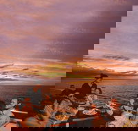Darwin Harbour Sunset Cruise with Optional Buffet Dinner - Broome Tourism
