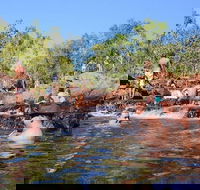 Litchfield and Jumping Crocodiles Full Day Trip from Darwin - Broome Tourism