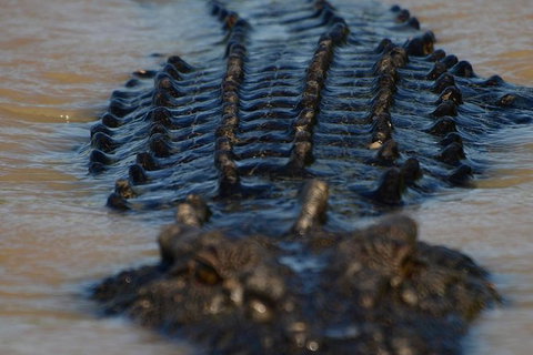 Darwin Jumping Crocodiles Cruise On Adelaide River - Broome Tourism 1