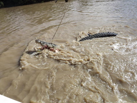 Darwin Jumping Crocodiles Cruise On Adelaide River - Broome Tourism 8