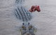 Darwin Jumping Crocodiles Cruise On Adelaide River - thumb 7