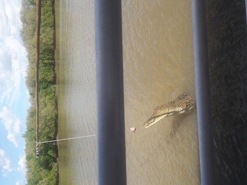 Darwin Jumping Crocodiles Cruise On Adelaide River - Broome Tourism 3