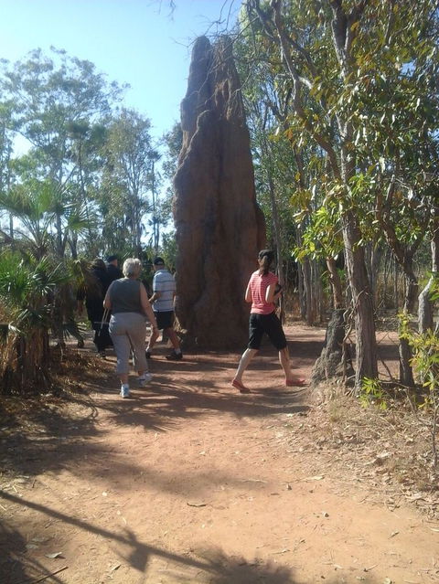 Litchfield National Park Day Tour From Darwin - Broome Tourism 14