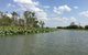 1 Day Corroboree Billabong Wetland Experience Including 2.5 Hour Cruise + Lunch - thumb 4