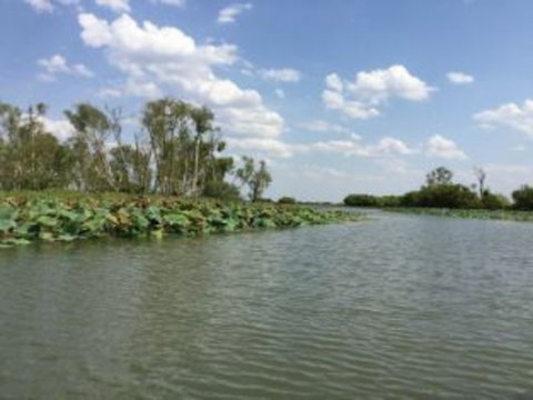 1 Day Corroboree Billabong Wetland Experience Including 2.5 Hour Cruise + Lunch - Broome Tourism 4