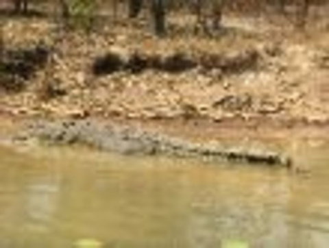 1 Day Corroboree Billabong Wetland Experience Including 2.5 Hour Cruise + Lunch - Broome Tourism 6