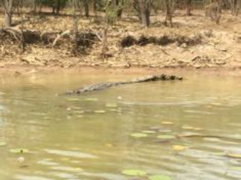 1 Day Corroboree Billabong Wetland Experience Including 2.5 Hour Cruise + Lunch - Broome Tourism 5