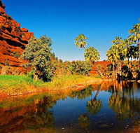 Palm Valley 4WD Day Tour - Broome Tourism