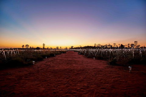 Uluru & Kata Tjuta Sights & Sounds - Broome Tourism 16