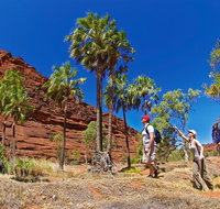 Palm Valley 4WD Tour from Alice Springs - Broome Tourism